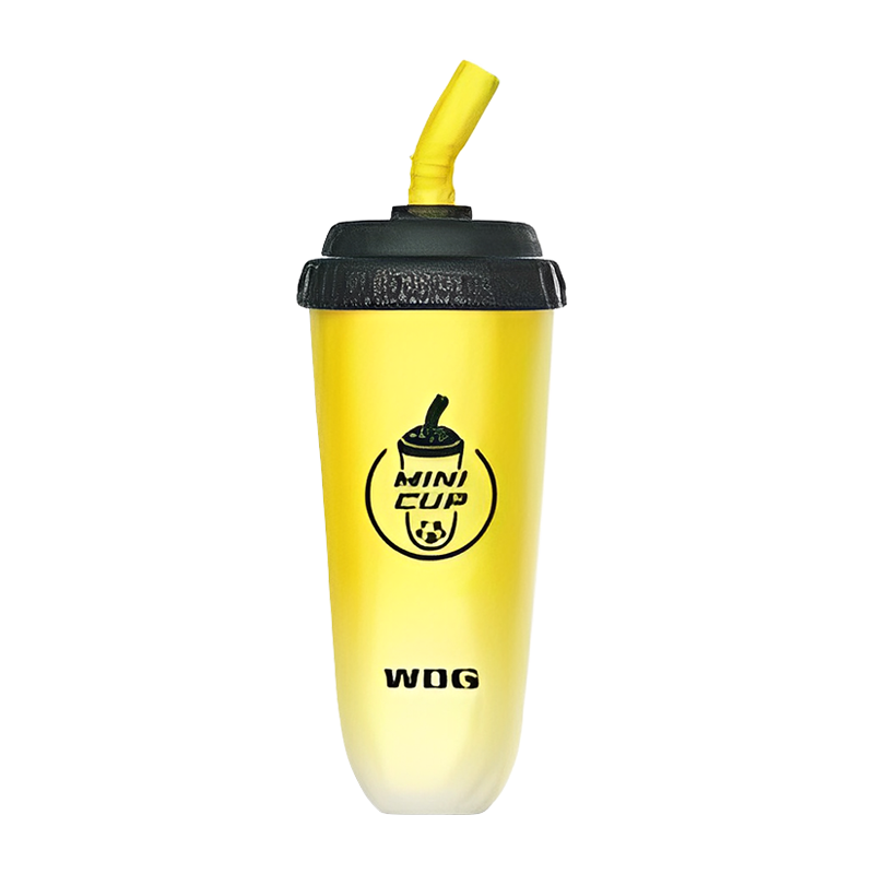 WDG Mini Cup Disposable E-cigs 5000 Puffs – ...